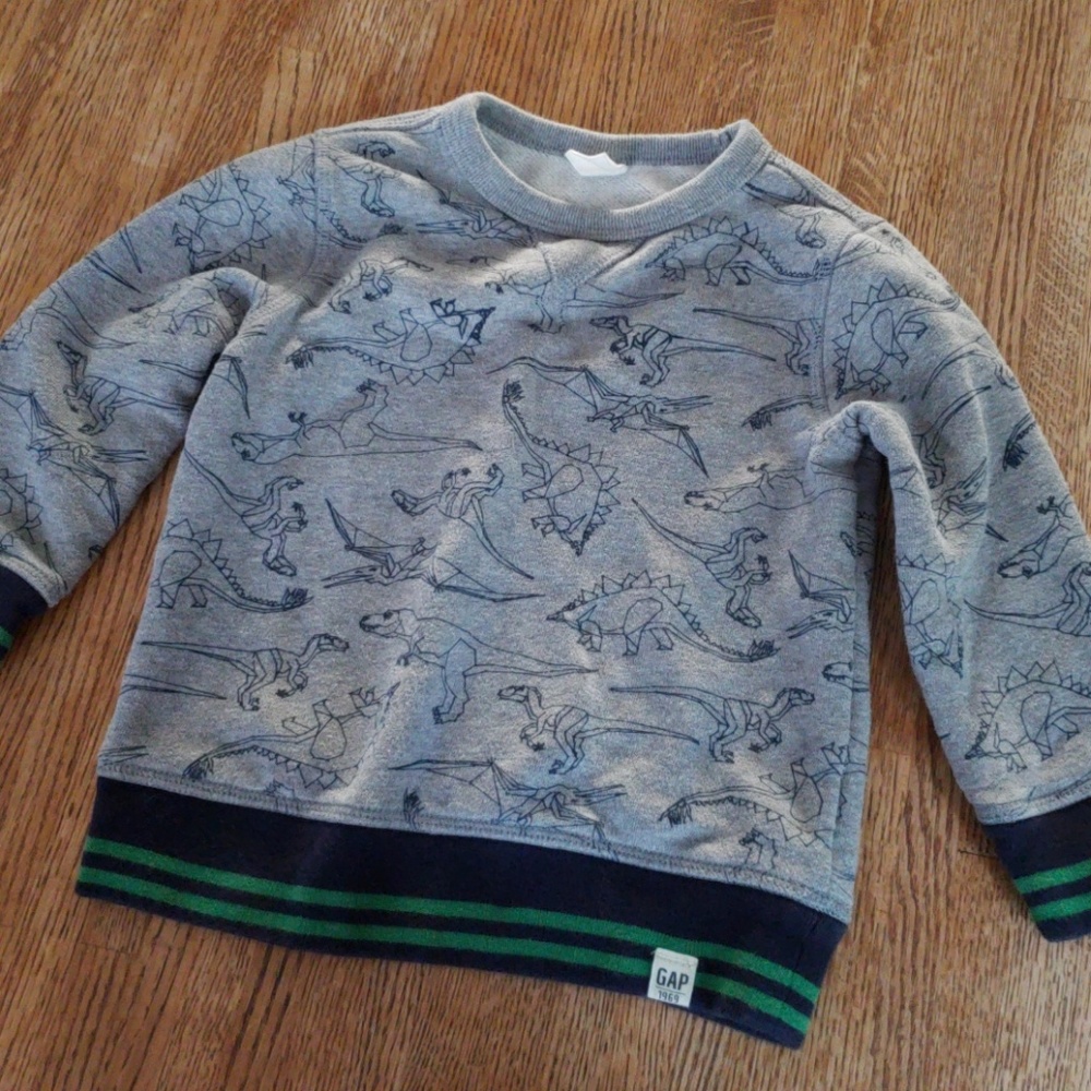 Dinosaurs! sweatshirt